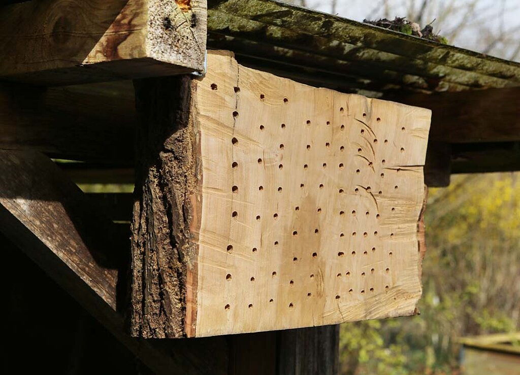 Insektenhotel Wildbienen Stamm Eiche Löcher