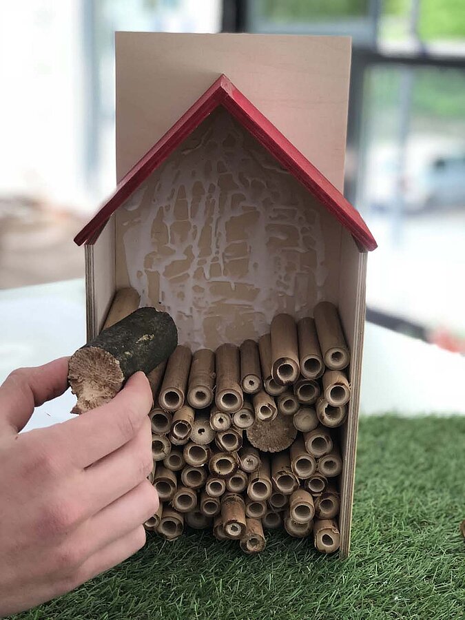 Insektenhotel bauen Bambusröhren