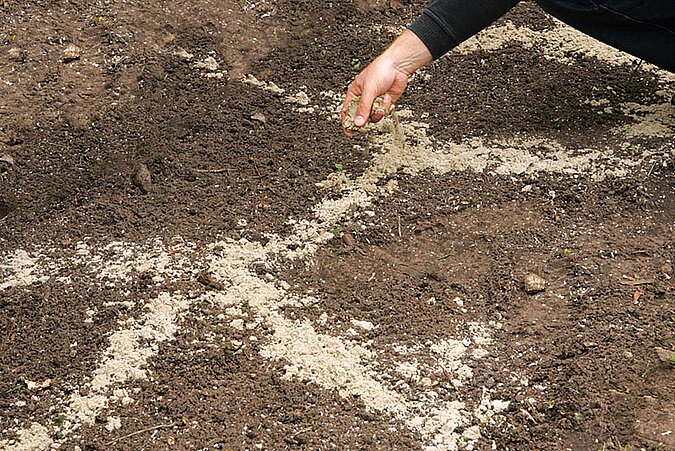 Staudenbeet anlegen markieren