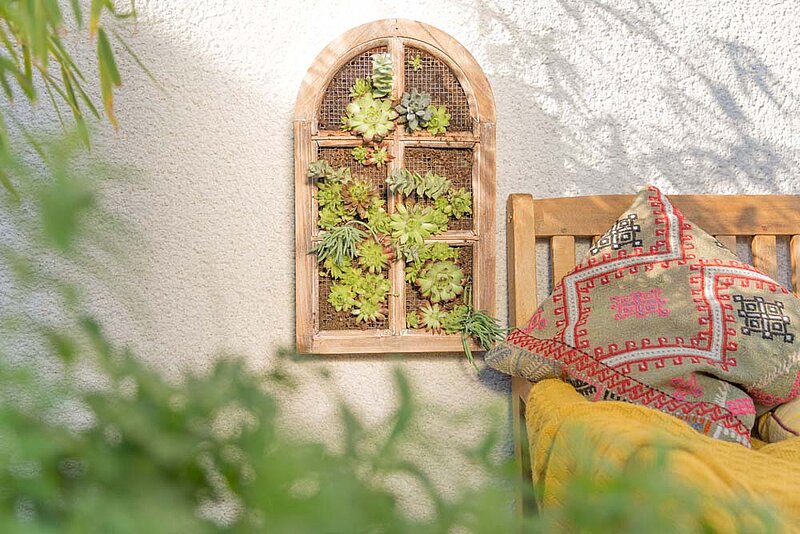 Pflanzenwand mit Sukkulenten bauen