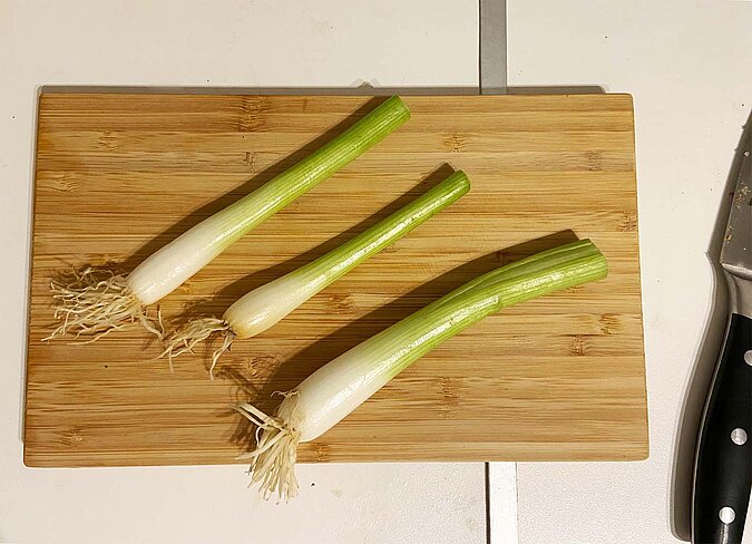 Gemüse vermehren Regrowing Frühlingszwiebel
