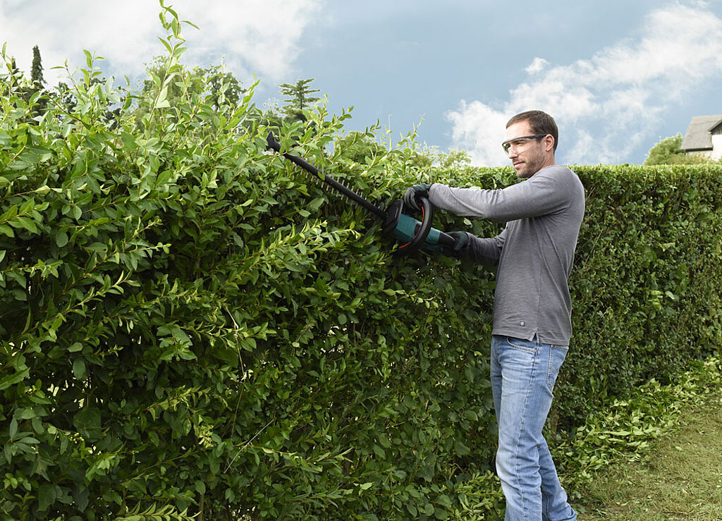 Mann schneidet eine Hecke