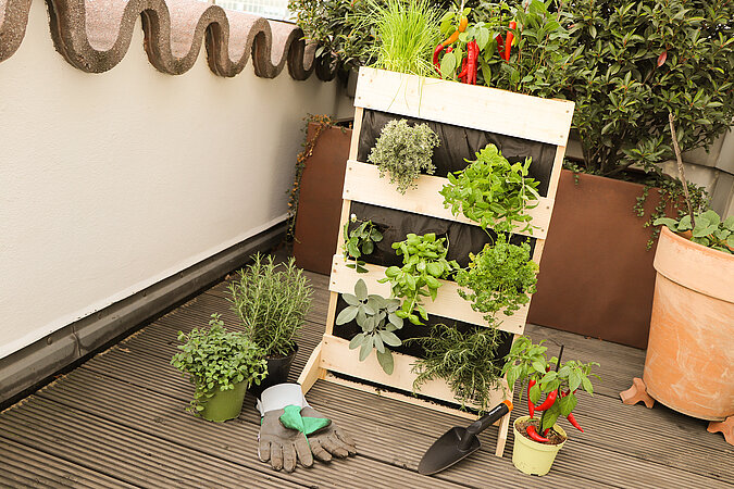 Hochbeet auf dem Balkon