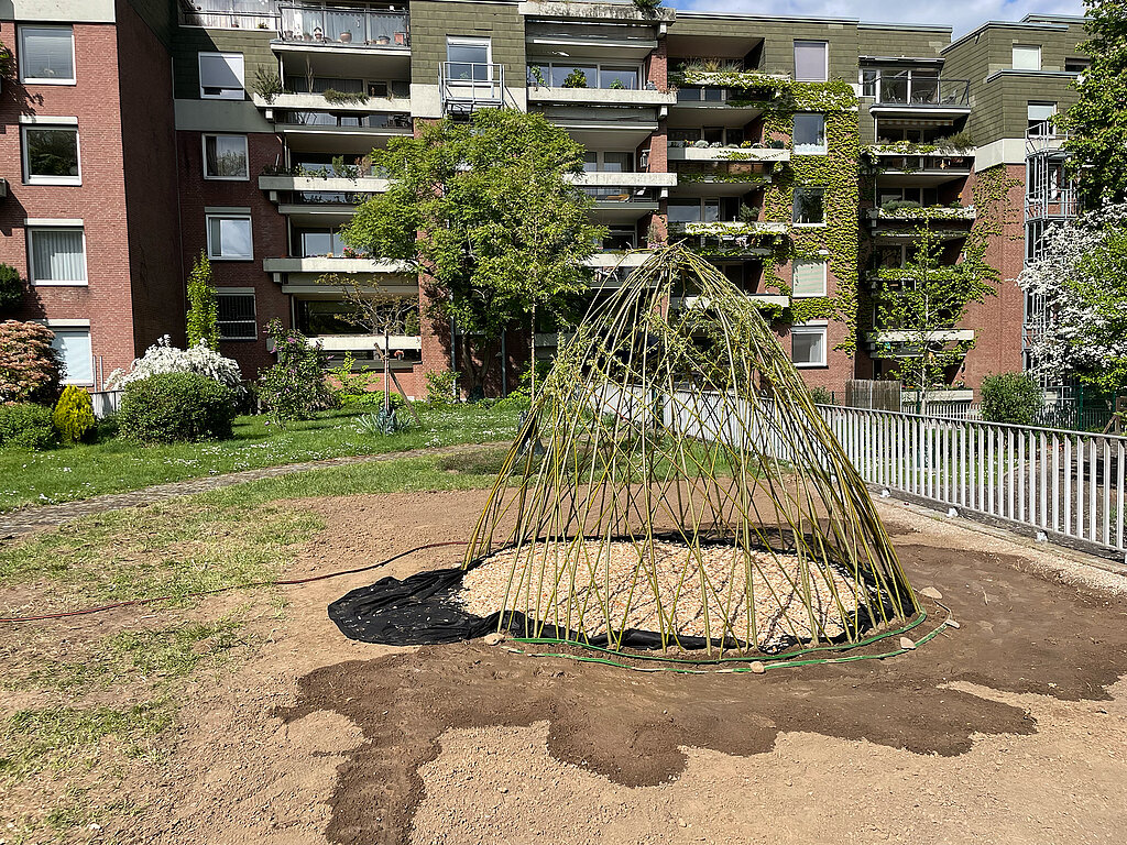 Tipi aus Weiden bauen mit frisch eingepflanzten und verflochtenen Weidenruten auf vorbereiteter Fläche, ideal zum Anwachsen im Gemeinschaftsgarten