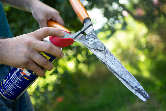 Gartenarbeiten Frühling: Heckenschere reinigen und mit Pflegeöl einsprühen zur Wartung von Gartengeräten im Frühling