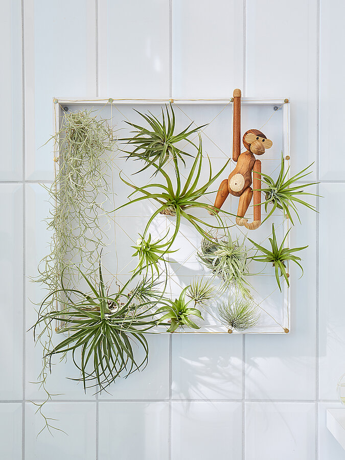 Wanddeko mit Pflanzen in einem weißen Wandrahmen, dekorative Anordnung von Luftpflanzen mit Holzfigur als kreative DIY-Wandgestaltung