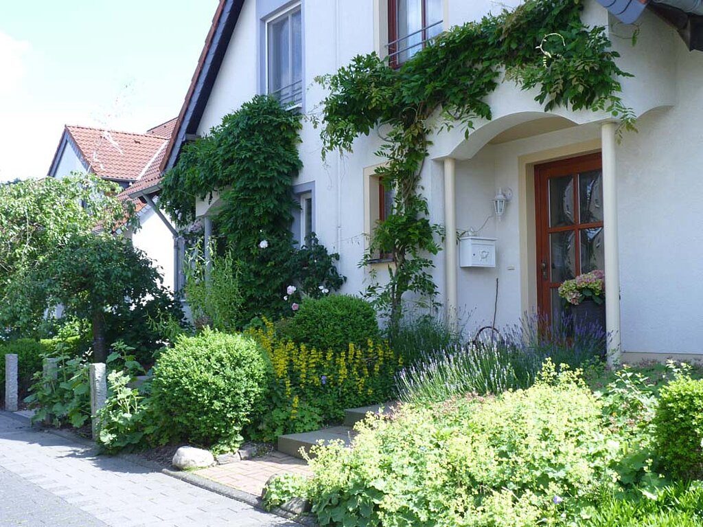 Vorgarten Pflanzen Haus