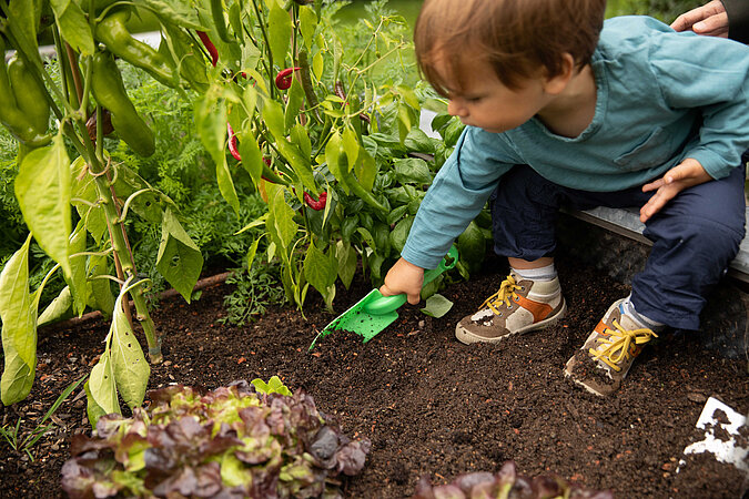 Kleiner Junge schaufelt mit kleiner Gartenschaufel in einem Gemuesebeet