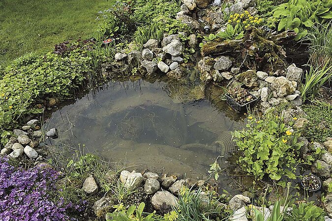 Gartenteich sauber