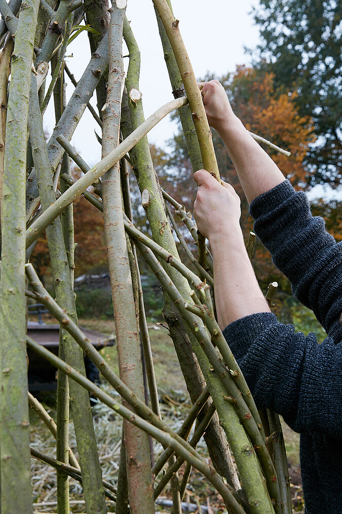 Tipi aus Weiden bauen mit dem Verflechten frischer Weidenruten, um die Seitenwände des natürlichen Gerüsts zu stabilisieren