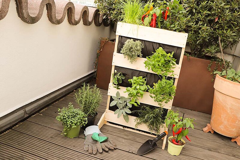 diyacad kraeuterbeet balkon aufmacher