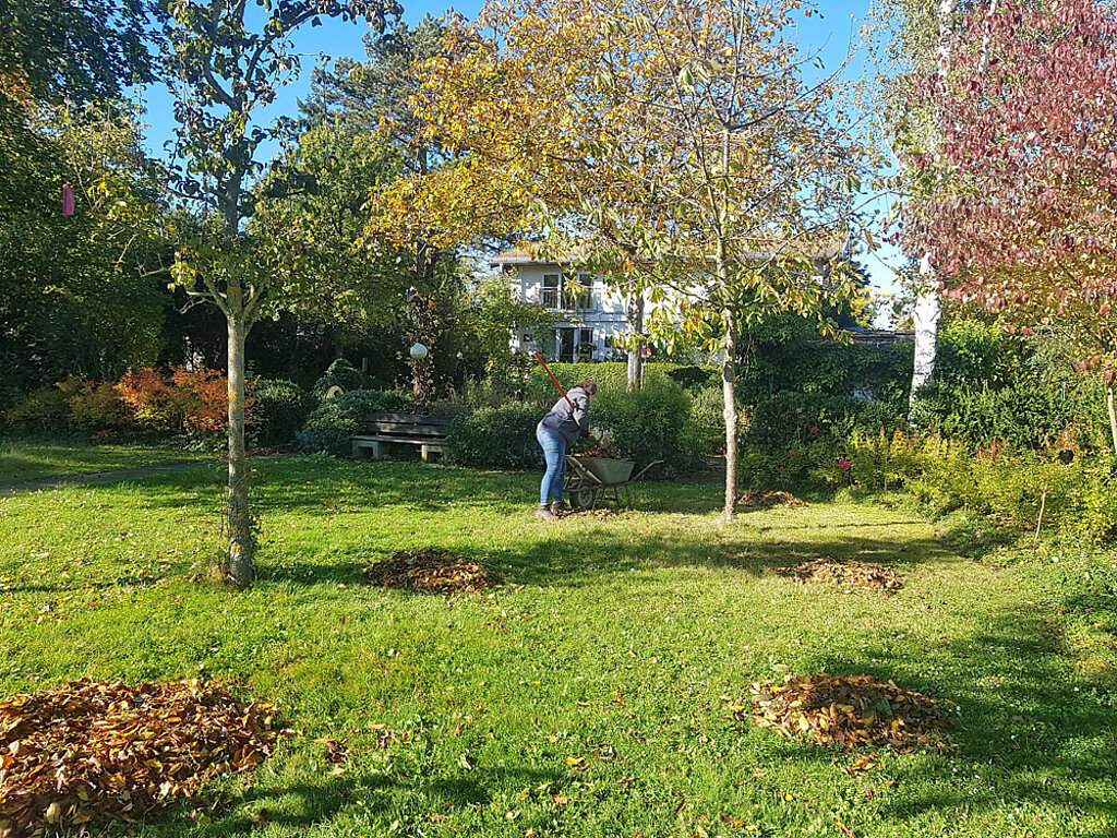 Herbst Laub Garten Beete