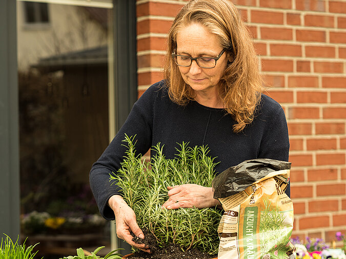 Gärtnern ohne Torf beim Pflanzen von Kräutern im Garten, Frau arbeitet mit torffreier Erde für nachhaltige und umweltfreundliche Gartenpflege