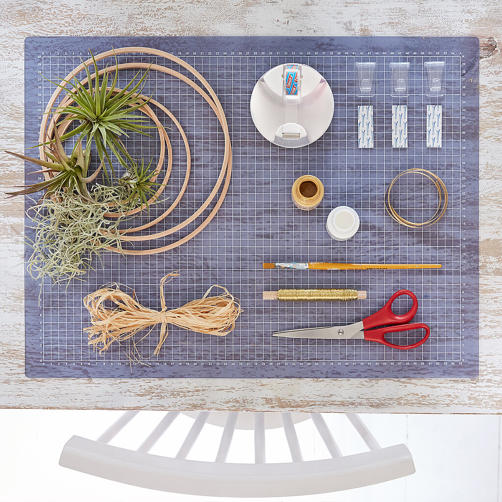 Wanddeko mit Pflanzen als DIY-Projektübersicht, Materialien und Werkzeuge für eine kreative Pflanzenwand mit Luftpflanzen und Holzrahmen vorbereitet