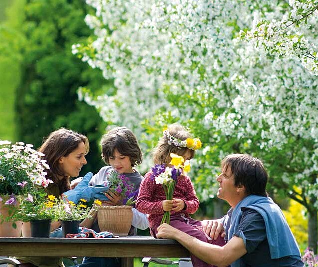 Wissenswertes: Kapuzinerkresse im Garten