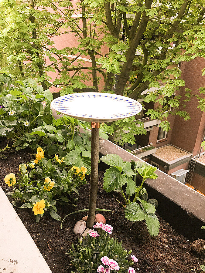 Upcycling: Vogeltränke aus altem Teller
