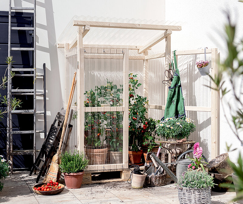 Tomatenhaus selbst bauen