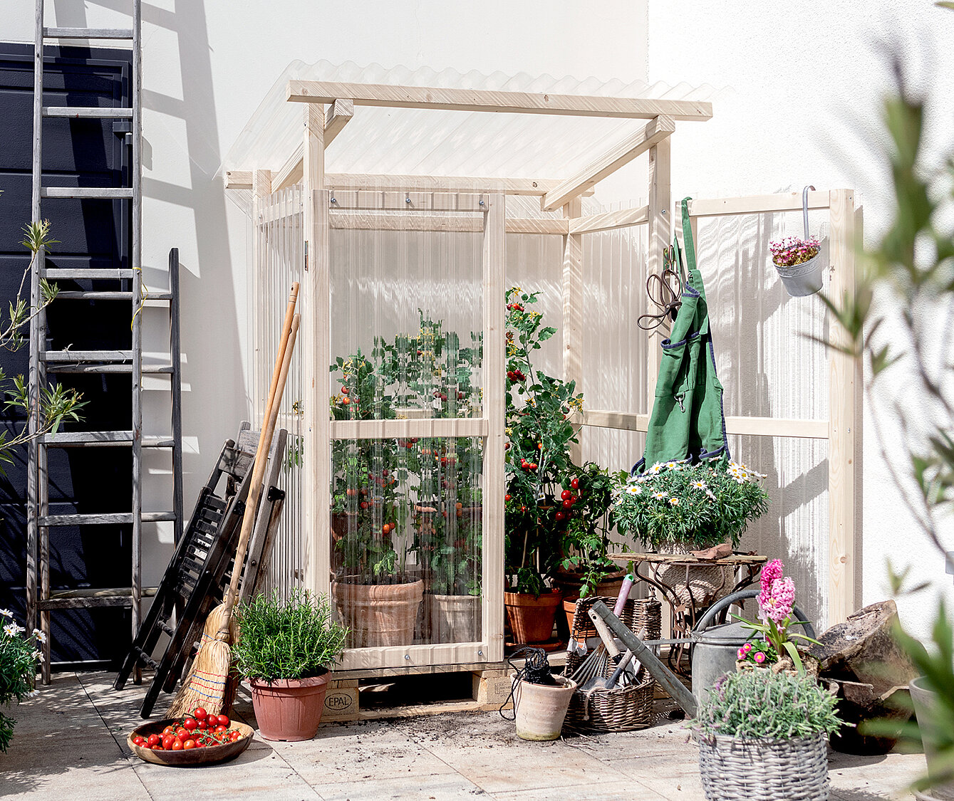 Tomatenhaus selbst bauen