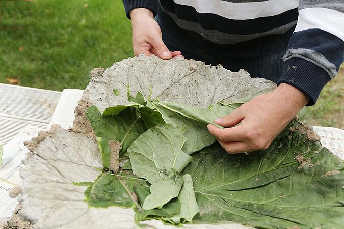 Vogeltränke Beton Blatt abziehen