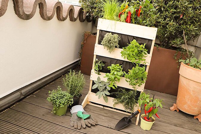 Kräuter-Hochbeet Balkon vertikaler Garten 