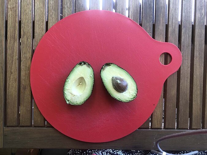 Gemüse Regrow Avocado