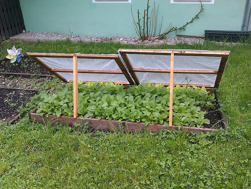Frühbeet