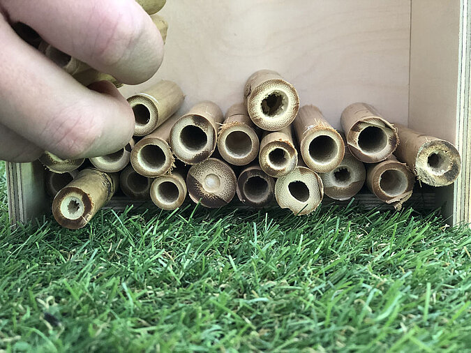 Insektenhotel bauen Bambus