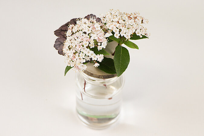 Einzelne Blumen stilvoll arrangieren