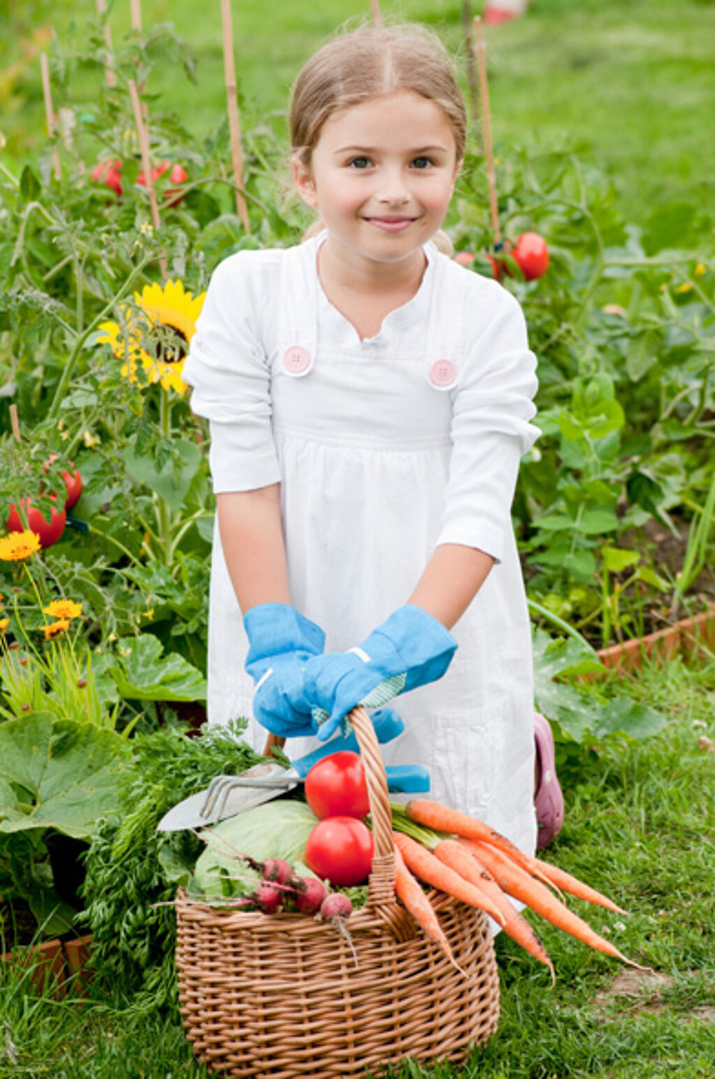Kinder ernten im Garten Obst und Gemüse