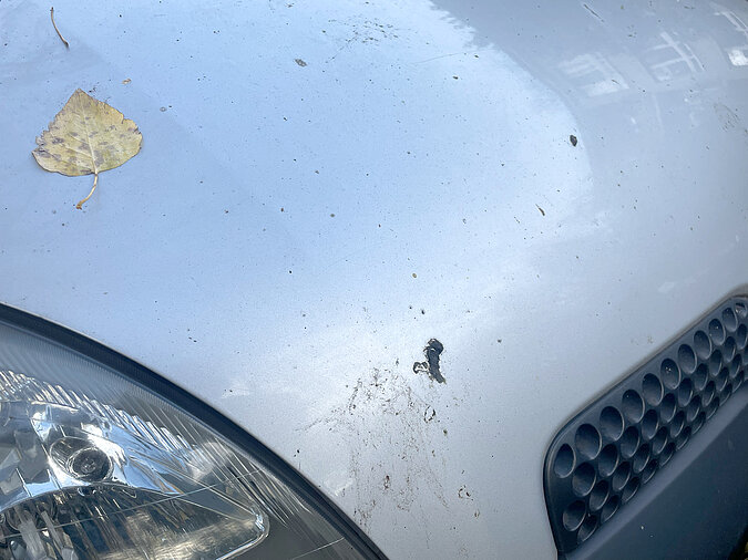 Auto selbst waschen Vorreinigung – Auf der Motorhaube liegt Vogelkot, der mit einem Spezialreiniger behandelt und entfernt werden sollte.