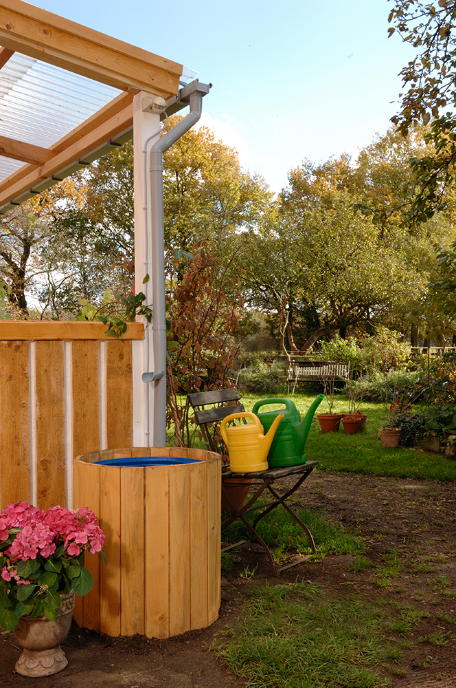 Frost: Garten im Winter