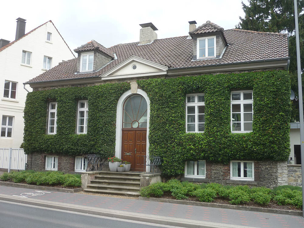 Efeu Fassade