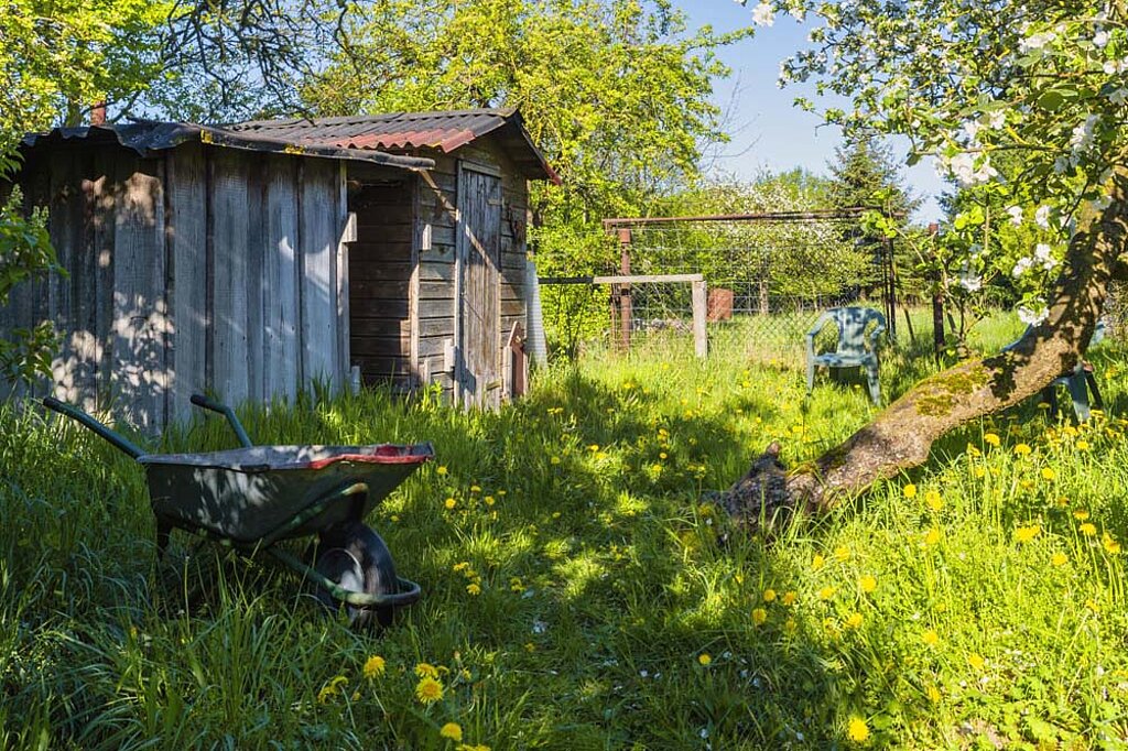 Garten Bäume