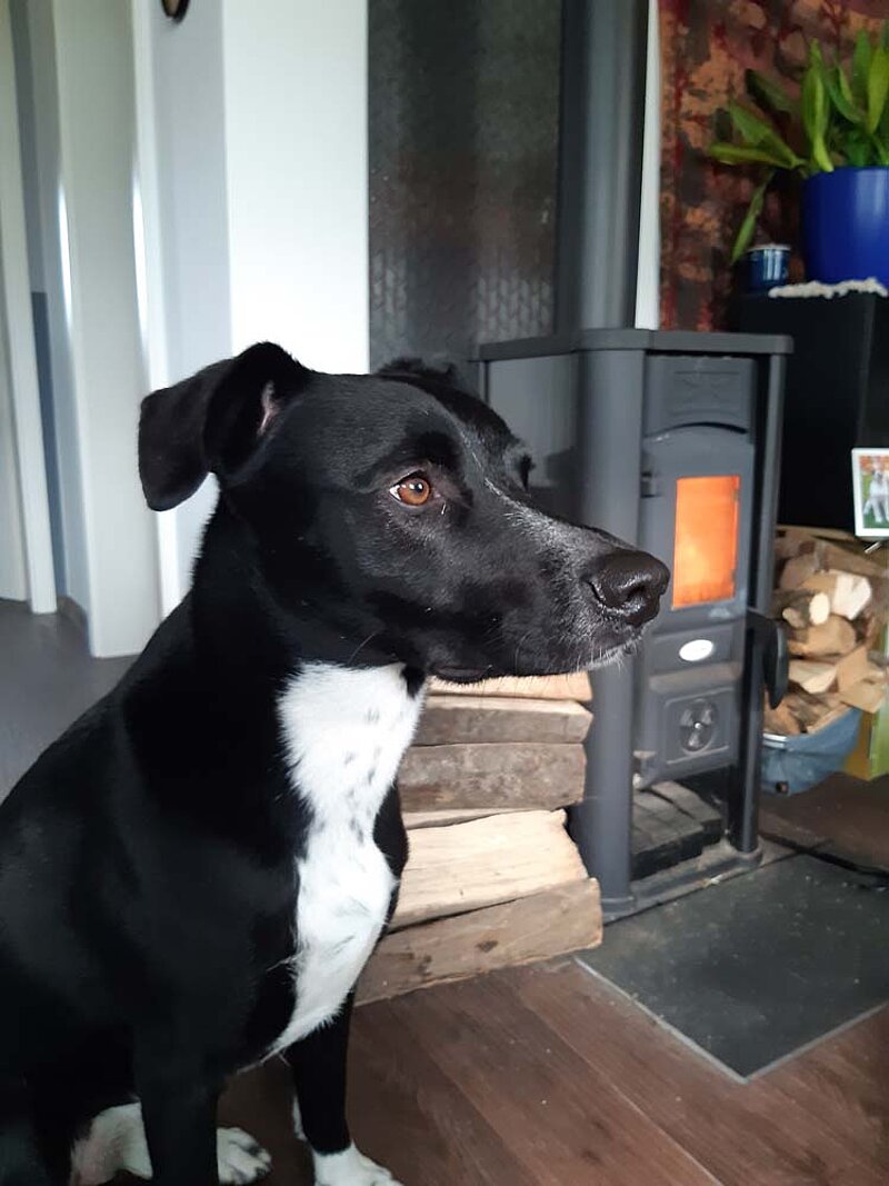 Schön warm mit dem Kamin