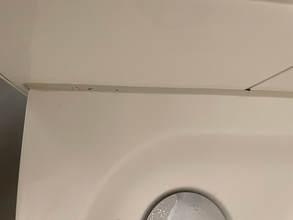 Schimmelige Silikonfugen erneuern_schwarze Flecken im auf der Silikonfuge im Bad