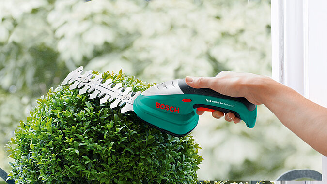 Hecke mit Strauchschere stutzen