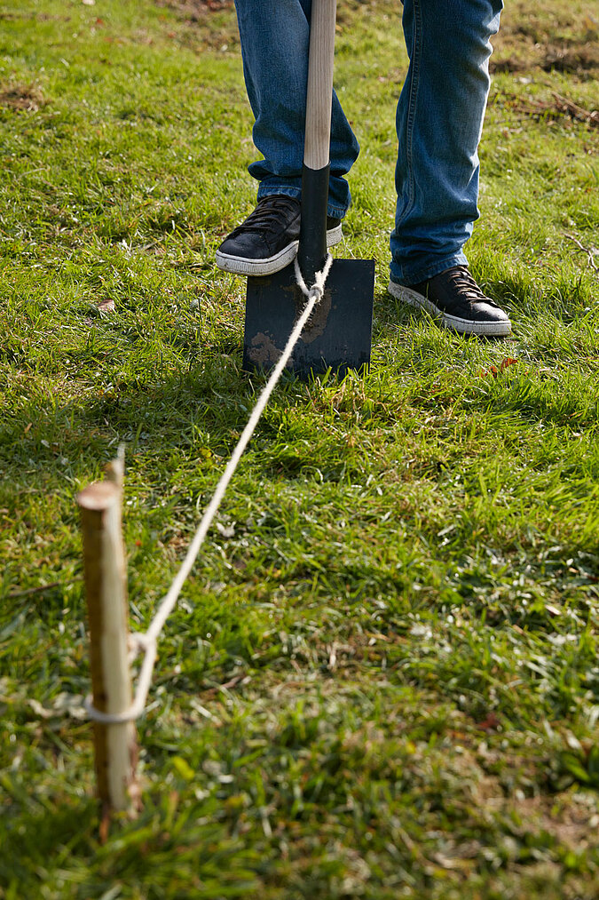 Tipi aus Weiden bauen mit Spaten und gespannten Seilen zur Markierung des Grundrisses für das DIY-Gartenprojekt