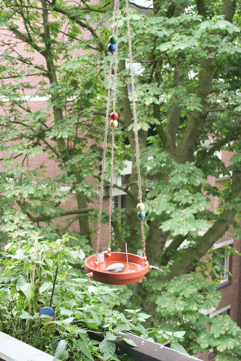 DIY-Vogeltränke bauen