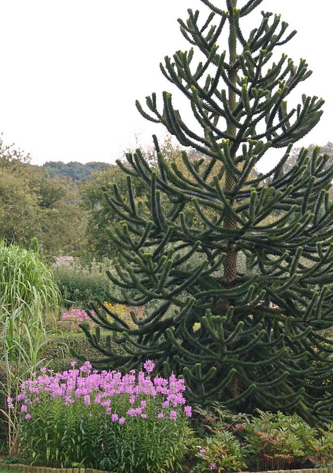 Garten gestalten Eyecatcher