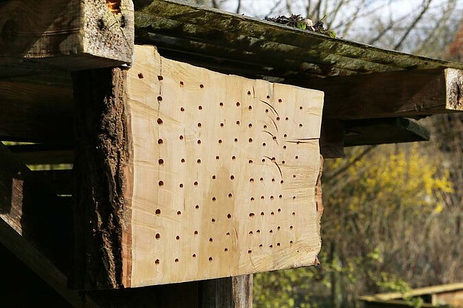 Insektenhotel