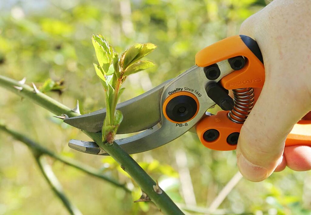 Gartengeräte Werkzeug Ausstattung Gartenschere