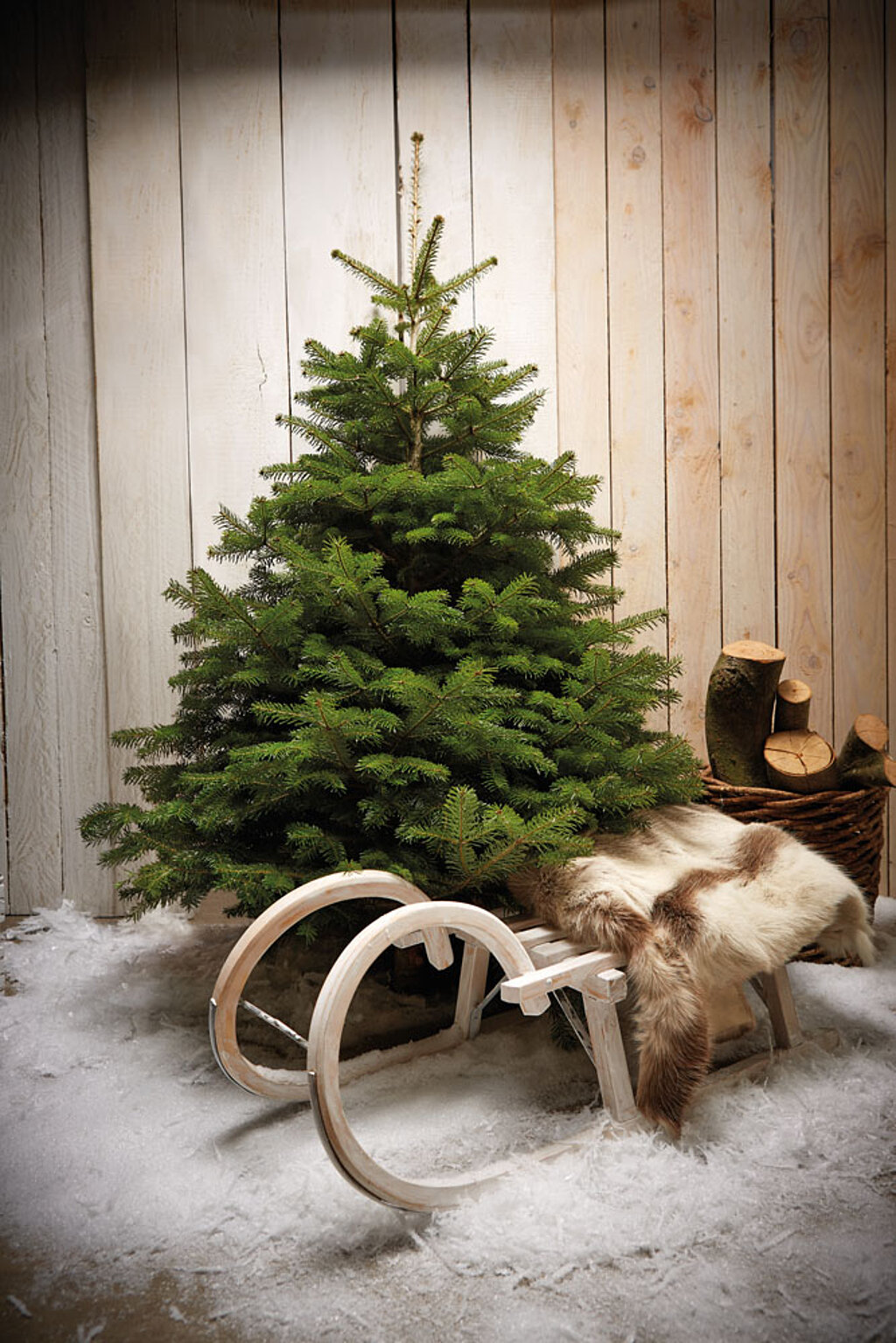 Nachhaltiger Weihnachtsbaum: Tipps für Kauf und Entsorgung