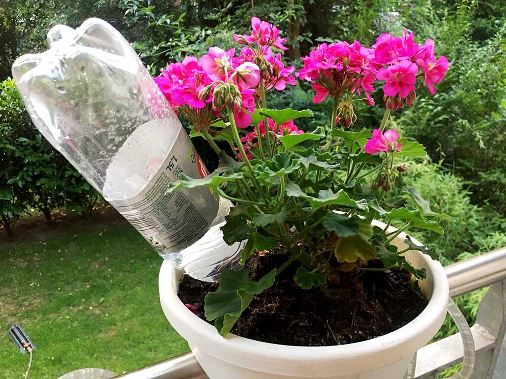 DIY-Gartenbewässerung mit Flasche