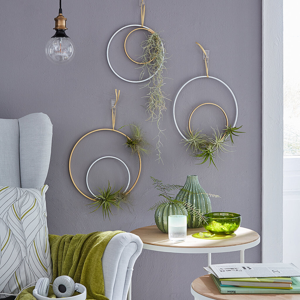 Wanddeko mit Pflanzen aus dekorativen Metallringen, moderne DIY-Wandgestaltung mit hängenden Grünpflanzen im Wohnraum über Beistelltisch und Sessel