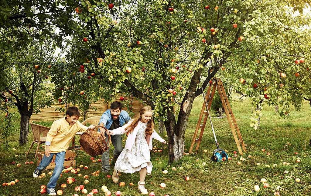 Kinder im Garten