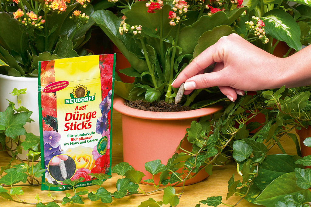 Düngen Sticks 