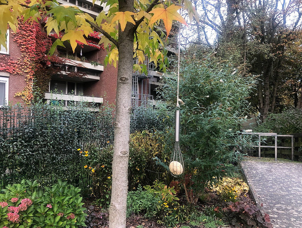 Vogelfutter selber machen mit klassischer Meisenknödel-Aufhängung im Garten, ideal für Winterfütterung von Wildvögeln.
