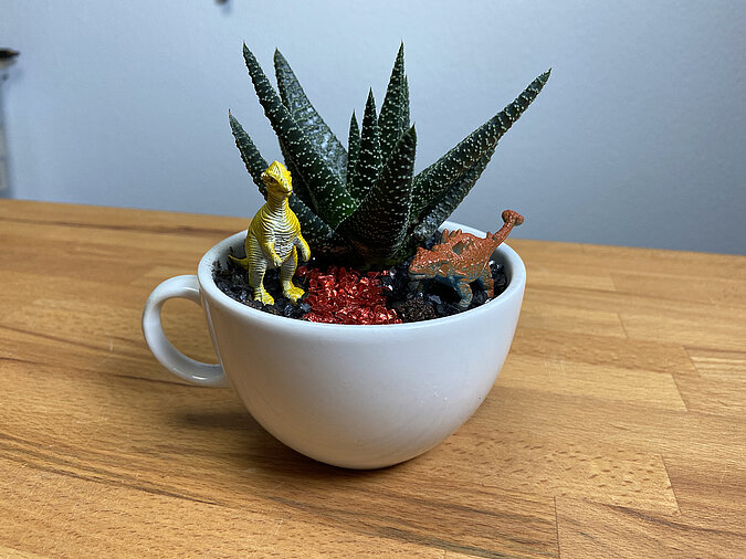 Tassengarten basteln mit Sukkulente und kleinen Dinosaurier-Figuren als kreative Deko