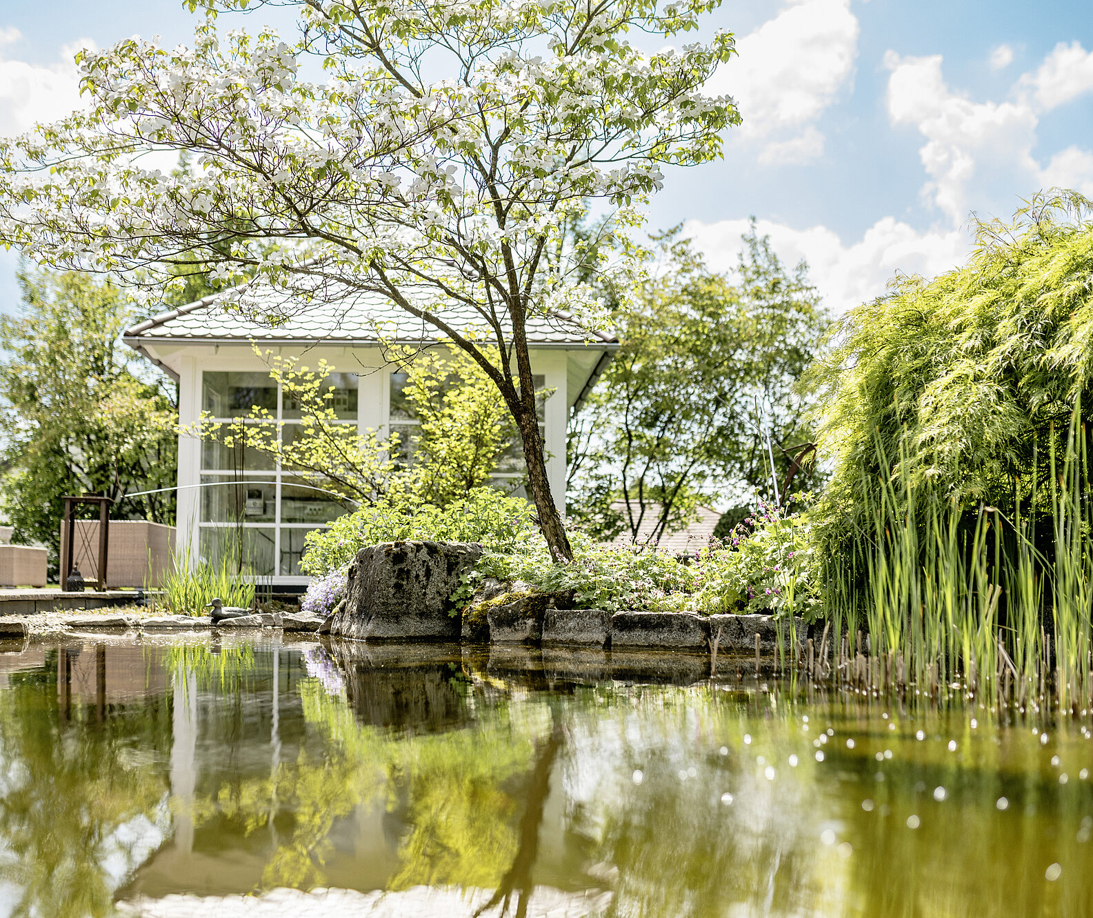 Gartenteich anlegen und pflegen
