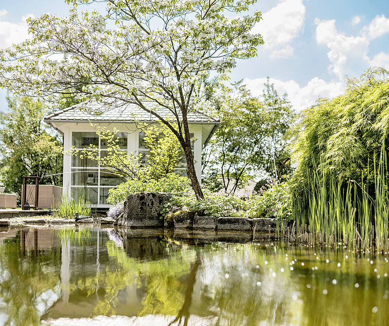 Gartenteich anlegen und pflegen